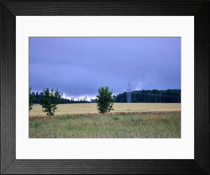Framed Print : Dark clouds loom above golden fields while trees stand peacefully alongside power lines in a remote countryside setting Framed Print : Dark clouds loom above golden fields while trees stand peacefully alongside power lines in a remote countryside setting