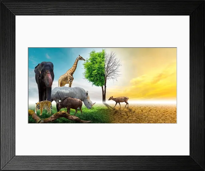 Framed Print : Wildlife Conservation Day Wild animals to the home. Or wildlife protection Framed Print : Wildlife Conservation Day Wild animals to the home. Or wildlife protection