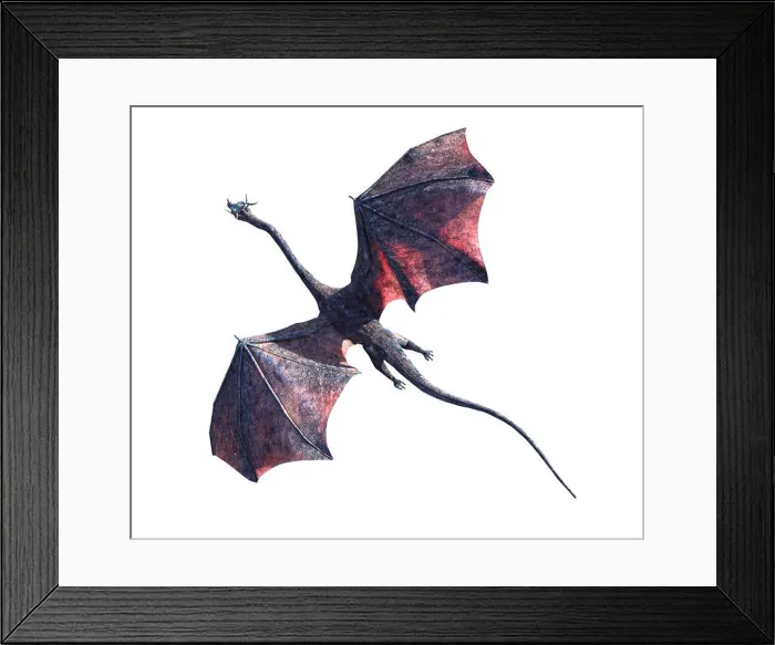 Framed Print : dragon, winged creature flying, top view isolated on white background, top view (3d fantasy rendering)