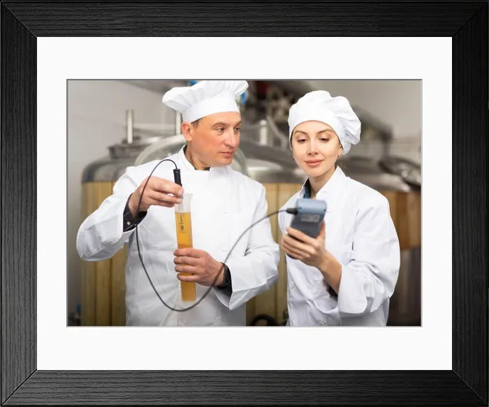 Framed Print : Male and female brewers measuring pH in beer with digital meter Framed Print : Male and female brewers measuring pH in beer with digital meter