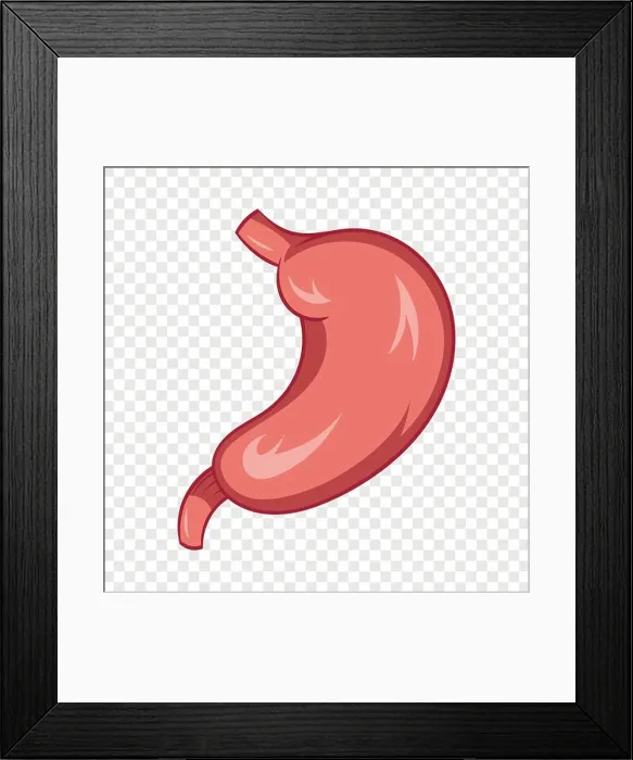 Framed Print : Stomach icon, cartoon style Framed Print : Stomach icon, cartoon style