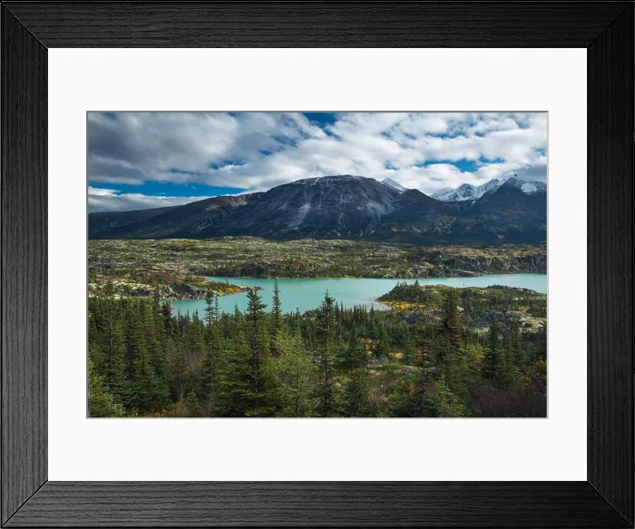 Framed Print : alpine meadows around Fraser, South Klondike Highway, British Columbia, Canada Framed Print : alpine meadows around Fraser, South Klondike Highway, British Columbia, Canada
