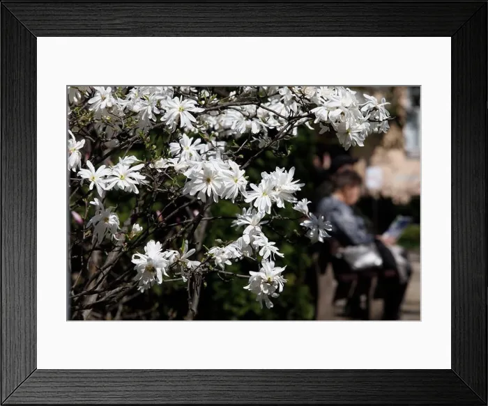 Framed Print : Non Exclusive: KYIV, UKRAINE - APRIL 08 Framed Print : Non Exclusive: KYIV, UKRAINE - APRIL 08