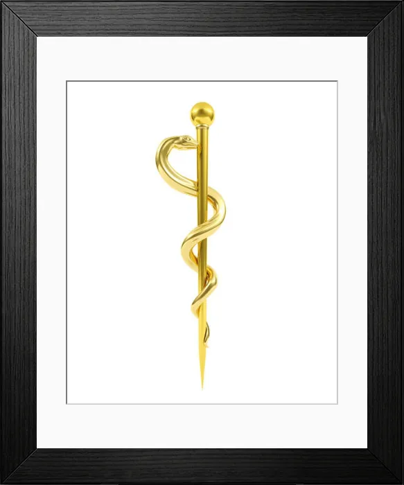 Framed Print : Golden Staff of Aesculapius Medical Symbol, 3D rendering Framed Print : Golden Staff of Aesculapius Medical Symbol, 3D rendering