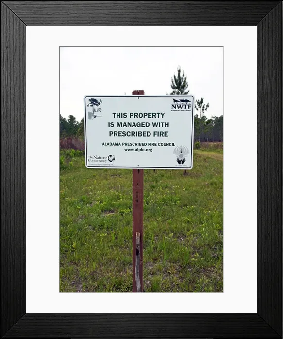 Framed Print : Sign indicating the surrounding natural area is subject to prescribed burns as a tool of wildlife habitat management Framed Print : Sign indicating the surrounding natural area is subject to prescribed burns as a tool of wildlife habitat management