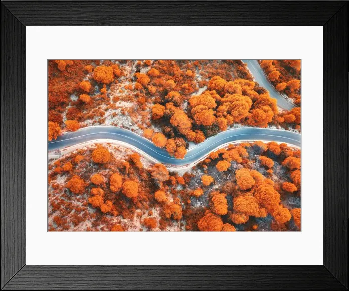 Framed Print : Aerial view of winding road in beautiful red forest in autumn Framed Print : Aerial view of winding road in beautiful red forest in autumn