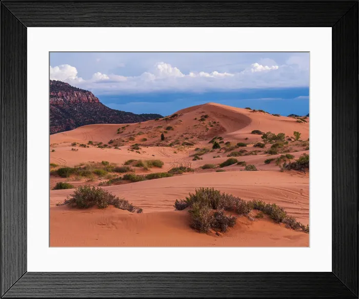 Framed Print : Crescent dune, Coral Pink Sand Dunes State Park, Kanab, Utah Framed Print : Crescent dune, Coral Pink Sand Dunes State Park, Kanab, Utah