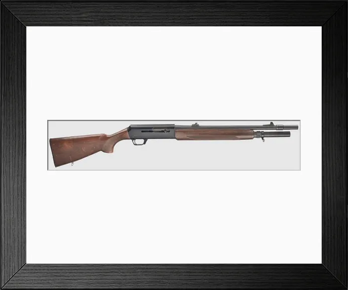 Framed Print : SERVICE WEAPONS, GERMANY AFTER 1945 Framed Print : SERVICE WEAPONS, GERMANY AFTER 1945