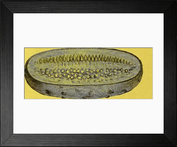 Framed Print : Dreer's garden calendar for 1887 Framed Print : Dreer's garden calendar for 1887