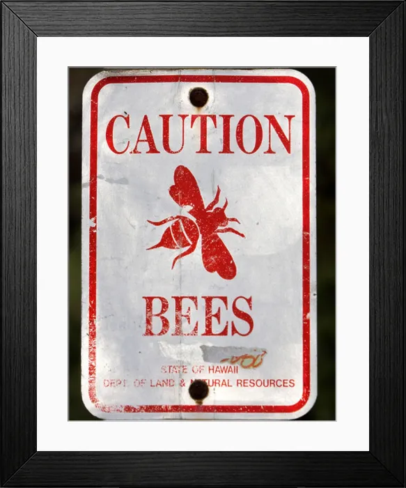 Framed Print : Bee sting warning sign Pali Lookout Oahu Hawaii USA Framed Print : Bee sting warning sign Pali Lookout Oahu Hawaii USA