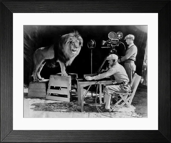 Framed Print : Leo the MGM lion, first introduced in 1928 Framed Print : Leo the MGM lion, first introduced in 1928