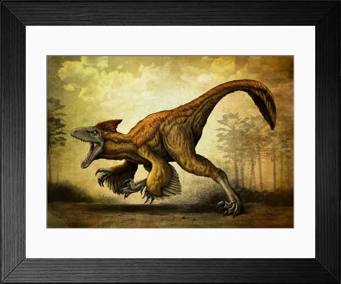 Framed Print : Utahraptor, a large dromaeosaur dinosaur from the Cretaceous Period Framed Print : Utahraptor, a large dromaeosaur dinosaur from the Cretaceous Period