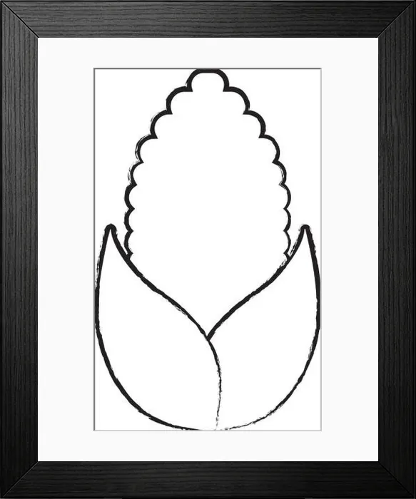 Framed Print : sketch of corn vegetable over white background, vector illustration Framed Print : sketch of corn vegetable over white background, vector illustration