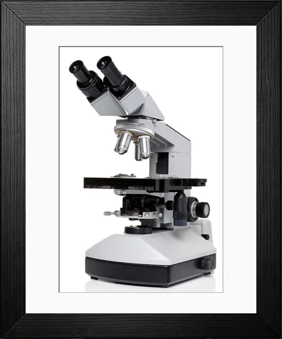 Framed Print : Photo of a professional ocular laboratory microscope with stereo eyepiece isolated on a white background Framed Print : Photo of a professional ocular laboratory microscope with stereo eyepiece isolated on a white background