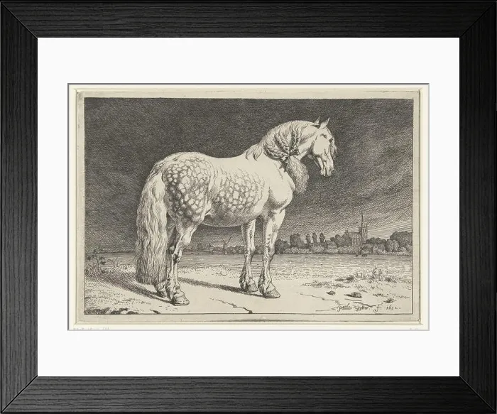 Framed Print : Het Friese paard Paarden (serietitel) a Friesian horse Framed Print : Het Friese paard Paarden (serietitel) a Friesian horse