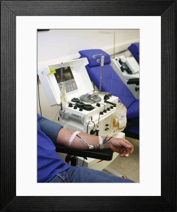 Framed Print : Haemonetics MCS machine collects whole blood healthy donor then separates it into component parts through centrifugal Framed Print : Haemonetics MCS machine collects whole blood healthy donor then separates it into component parts through centrifugal