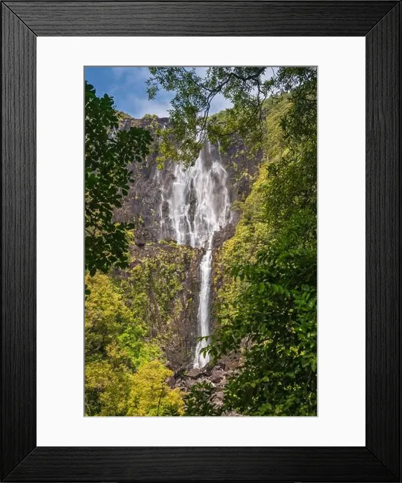 Framed Print : Wairere Falls, Kaimai Range, Gordon Park Scenic Reserve, Waikato Region, North Island, New Zealand Framed Print : Wairere Falls, Kaimai Range, Gordon Park Scenic Reserve, Waikato Region, North Island, New Zealand
