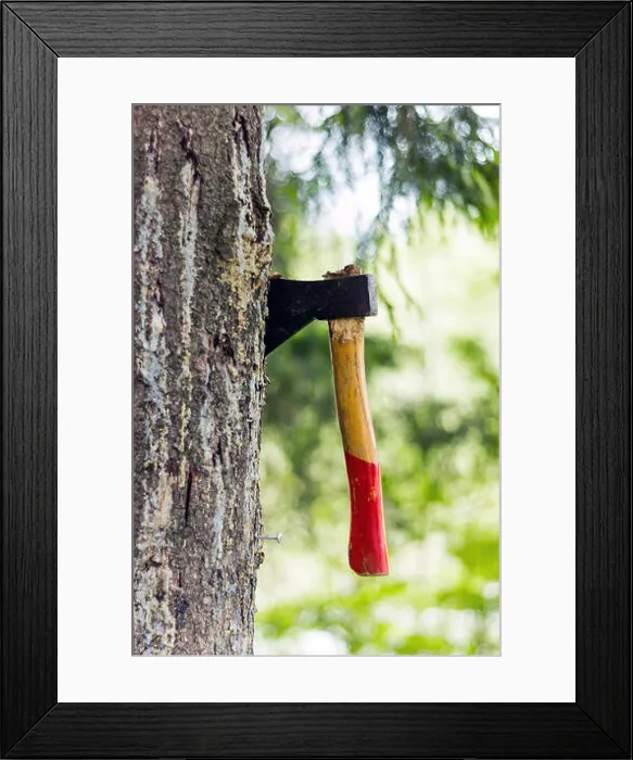 Framed Print : Ax chopped into a tree in the forest Framed Print : Ax chopped into a tree in the forest