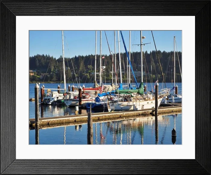 Framed Print : many Sailboats moored in harbor Florence Oregon Pacific Coast Siuslaw River with reflections in the water Framed Print : many Sailboats moored in harbor Florence Oregon Pacific Coast Siuslaw River with reflections in the water