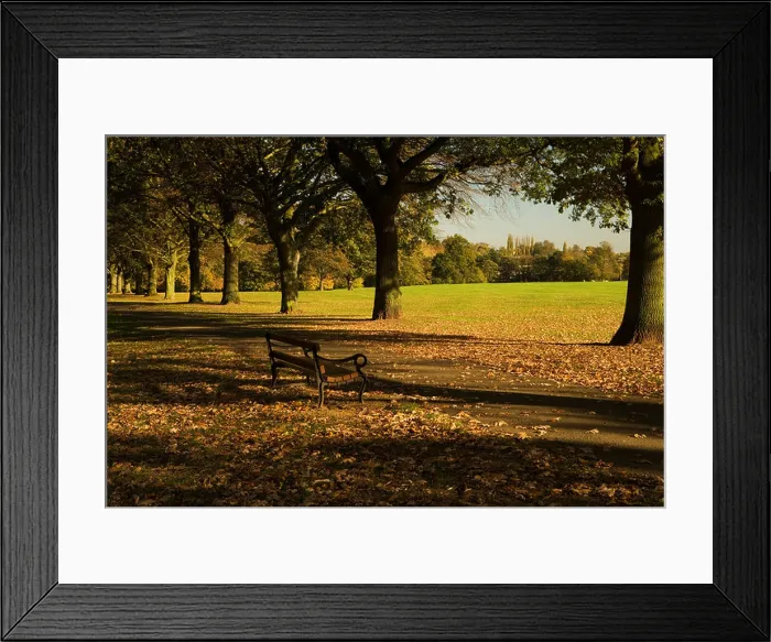 Framed Print : A place to sit, Abington Park, Northampton, Northamptonshire, England, UK