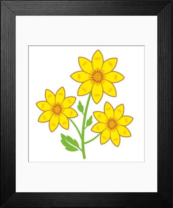 Framed Print : Adey abeba Ethiopian flower, symbol of Enkutatash (Ethiopian New Year) Framed Print : Adey abeba Ethiopian flower, symbol of Enkutatash (Ethiopian New Year)