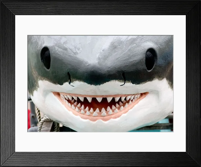 Framed Print : comedy shark model on fishing boat with big smile! Framed Print : comedy shark model on fishing boat with big smile!
