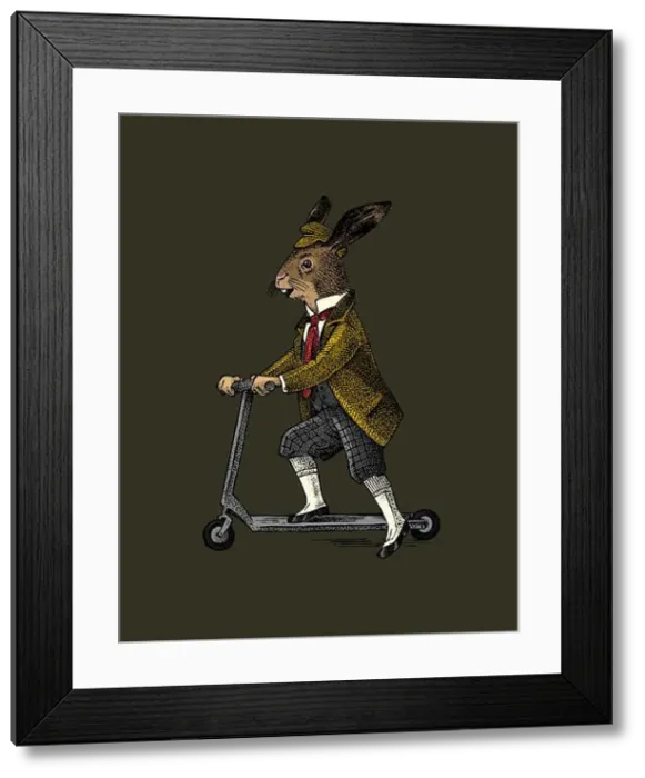 Framed Print : Hare or rabbit rides a scooter Framed Print : Hare or rabbit rides a scooter
