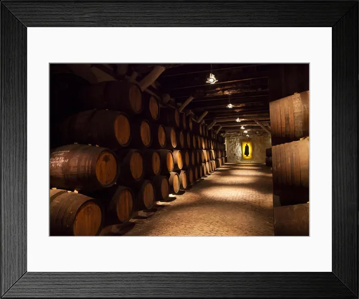 Framed Print : Sandeman Port Wine Cellars in Porto, Portugal Framed Print : Sandeman Port Wine Cellars in Porto, Portugal