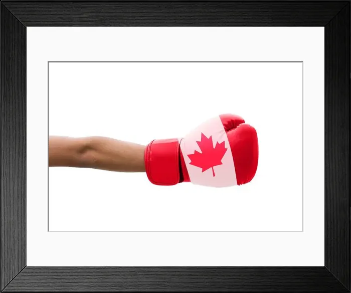 Framed Print : 3D Flag of Canada on a boxing gloves Framed Print : 3D Flag of Canada on a boxing gloves