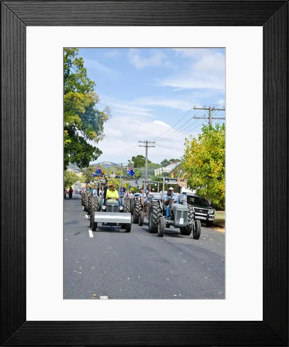 Framed Print : 5th Triennial Bendemeer Australian Grey Fergie Muster Grand Parade March 2015 Framed Print : 5th Triennial Bendemeer Australian Grey Fergie Muster Grand Parade March 2015