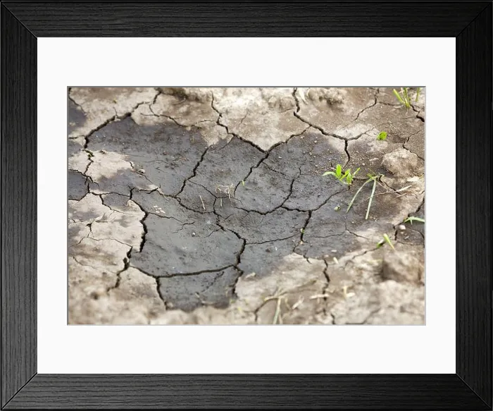 Framed Print : Cracked dry dirt flat surface, abstract texture, copy space background, retro pattern Framed Print : Cracked dry dirt flat surface, abstract texture, copy space background, retro pattern