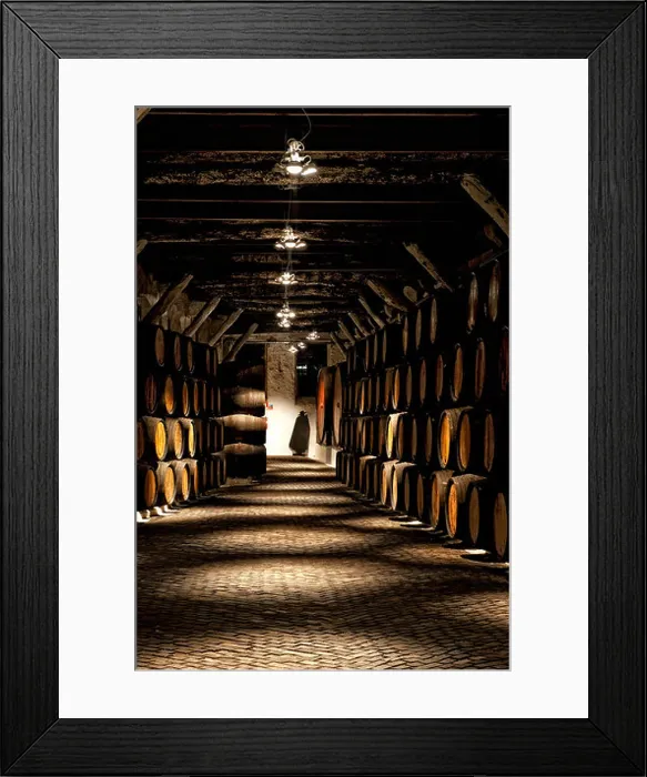 Framed Print : Sandeman storehouse, Barrels, Vila Nova de Gaia, Porto, Portugal Framed Print : Sandeman storehouse, Barrels, Vila Nova de Gaia, Porto, Portugal