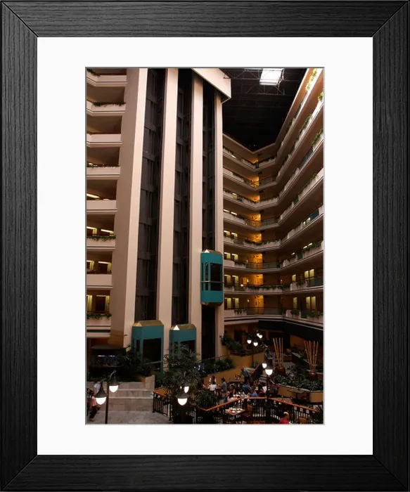 Framed Print : Austin Texas Framed Print : Austin Texas