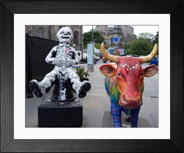 Framed Print : Statue of a cow and skeleton on the street of Edinburgh during the august festival Framed Print : Statue of a cow and skeleton on the street of Edinburgh during the august festival