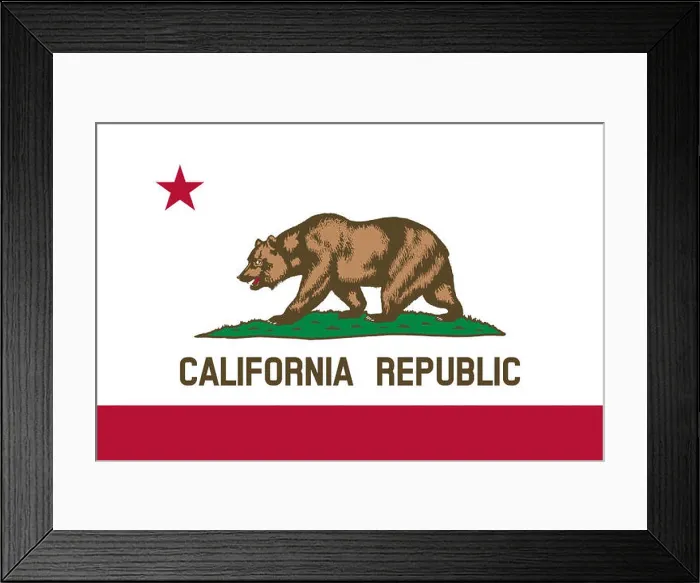 Framed Print : Illustration of the flag of California state in America Framed Print : Illustration of the flag of California state in America