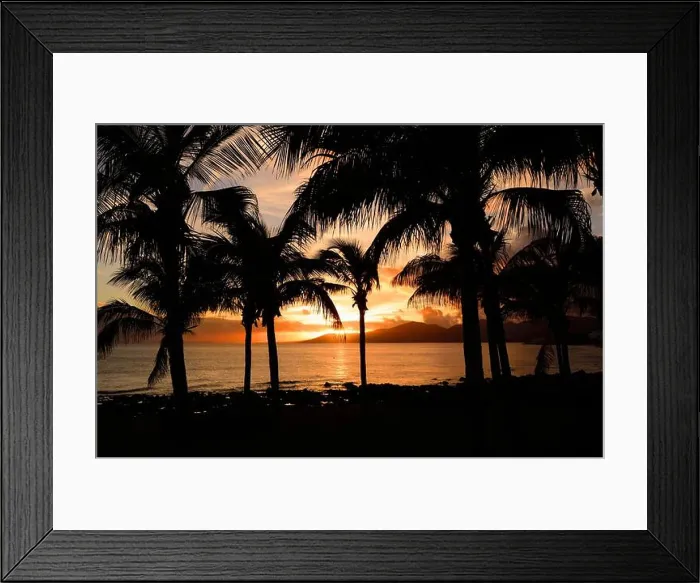Framed Print : A beautiful golden sunset over the sea and silhouettes of the palms in Puerto Del Carmen, Lanzarote Framed Print : A beautiful golden sunset over the sea and silhouettes of the palms in Puerto Del Carmen, Lanzarote