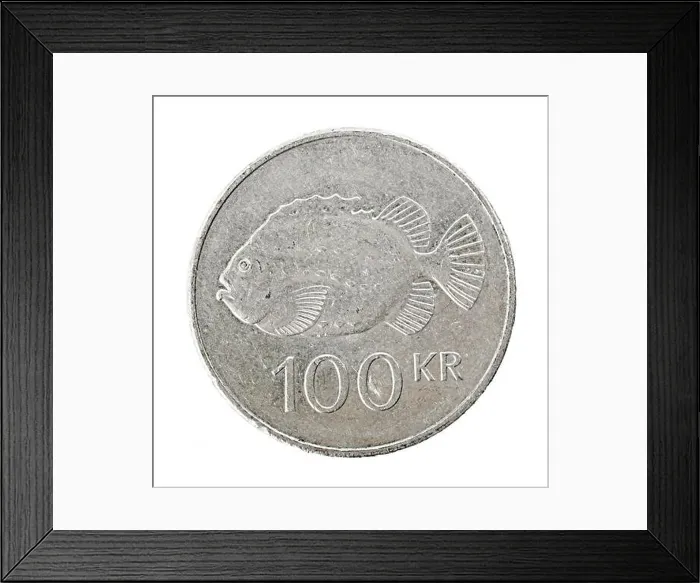 Framed Print : Icelandic 100 krona coin Framed Print : Icelandic 100 krona coin