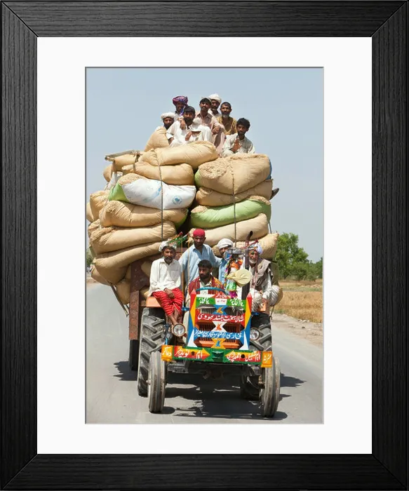 Framed Print : Usman Kurea, Pakistan, transport the harvest on a tractor Framed Print : Usman Kurea, Pakistan, transport the harvest on a tractor