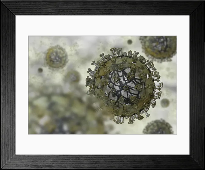 Framed Print : Realistic model of flu virus Framed Print : Realistic model of flu virus