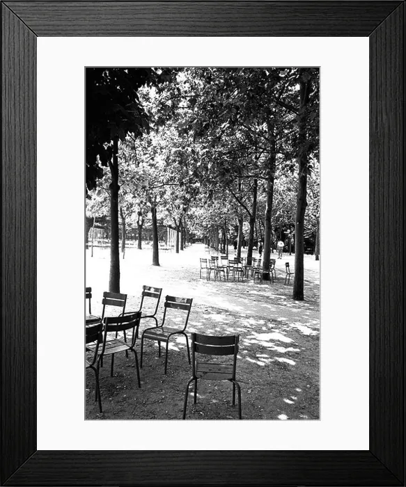 Framed Print : France Paris Jardin du Luxembourg Framed Print : France Paris Jardin du Luxembourg