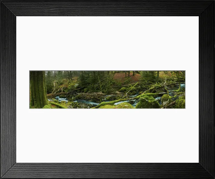 Framed Print : Panoramic wide view on ancient forest woodland in Devon, UK with fast moving creek Framed Print : Panoramic wide view on ancient forest woodland in Devon, UK with fast moving creek