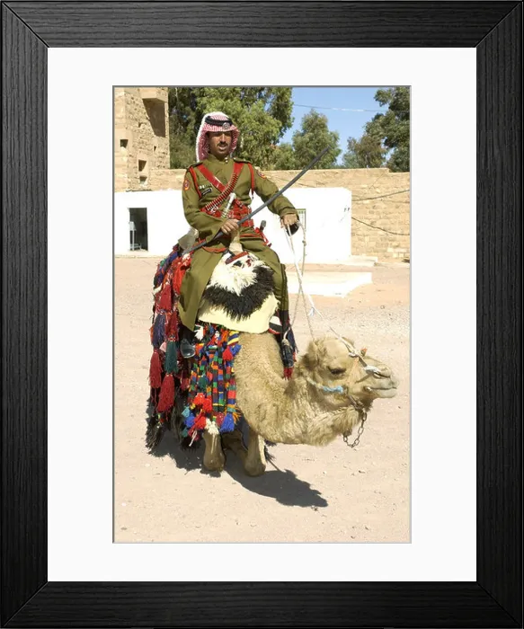Framed Print : Jordanian Dessert police Officer on Camel, Petra Jordan Framed Print : Jordanian Dessert police Officer on Camel, Petra Jordan