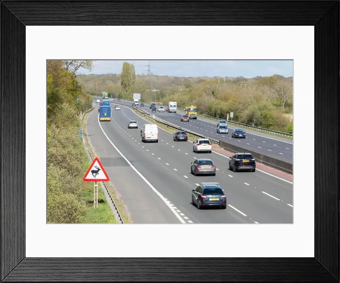 Framed Print : Triangular deer crossing warning road sign on the M3 motorway with traffic cars, Hampshire, England, UK Framed Print : Triangular deer crossing warning road sign on the M3 motorway with traffic cars, Hampshire, England, UK