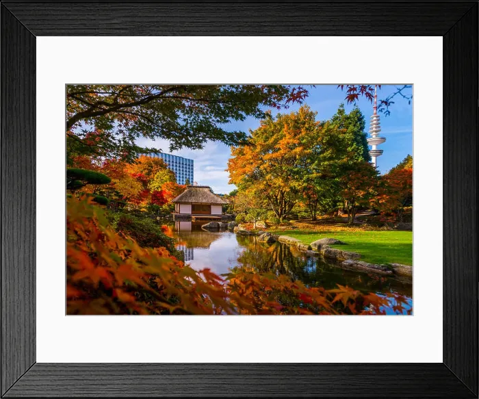 Framed Print : Germany, Hamburg, Park, park, Planten un Blomen, autumn Framed Print : Germany, Hamburg, Park, park, Planten un Blomen, autumn