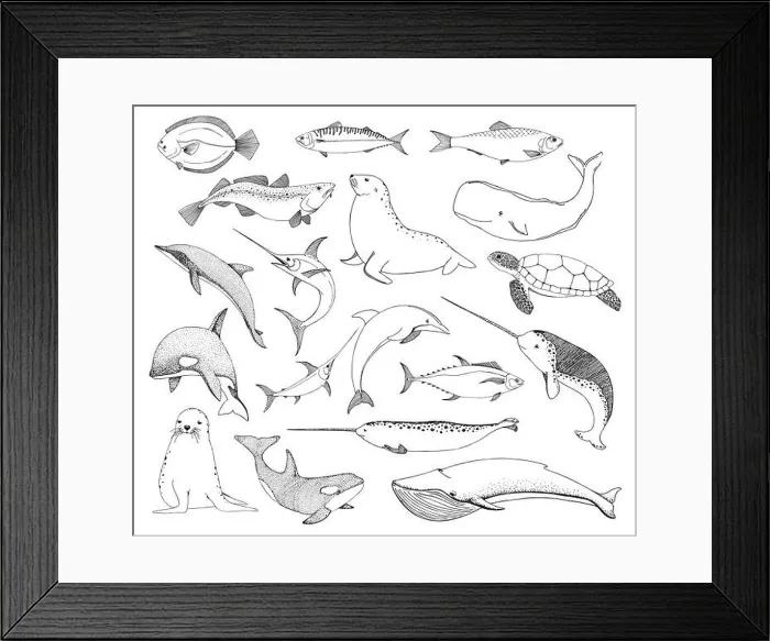 Framed Print : Sketch various sea creatures. Turtle whale walrus, dolphin and others. Vector Framed Print : Sketch various sea creatures. Turtle whale walrus, dolphin and others. Vector