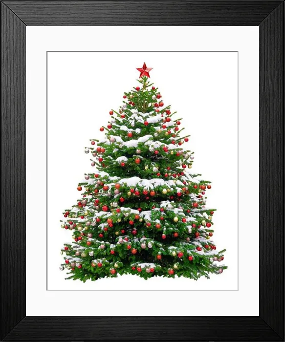 Framed Print : Beautiful Christmas tree decorated with red balls. Snowy Christmas tree wit red star isolated on white background Framed Print : Beautiful Christmas tree decorated with red balls. Snowy Christmas tree wit red star isolated on white background