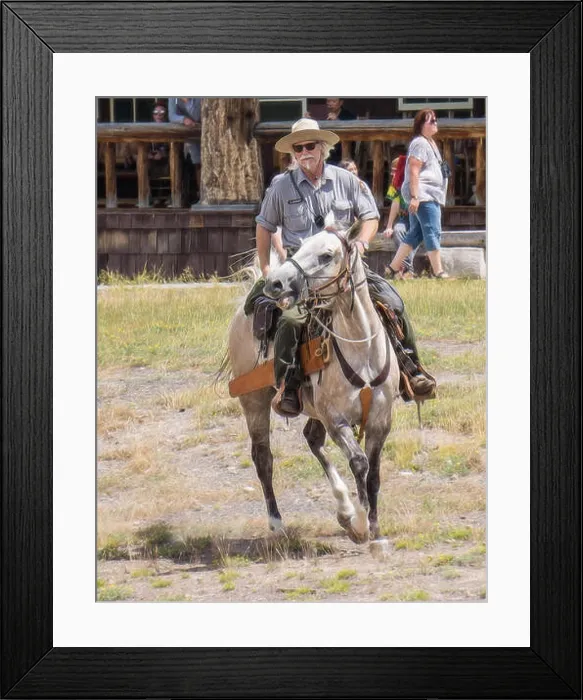Framed Print : Yellowstone Park ranger riding his horse Framed Print : Yellowstone Park ranger riding his horse