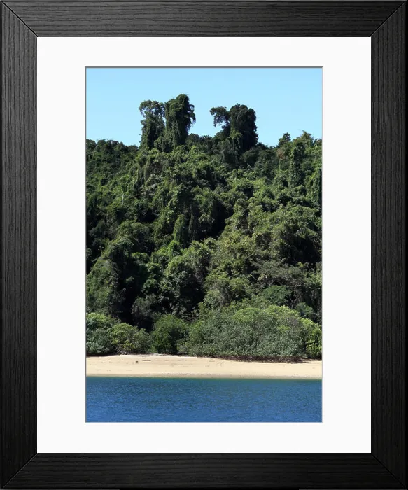 Framed Print : Mamoko island beach bordered by thick lush tropical forest, near Nosy Be, Madagascar Framed Print : Mamoko island beach bordered by thick lush tropical forest, near Nosy Be, Madagascar