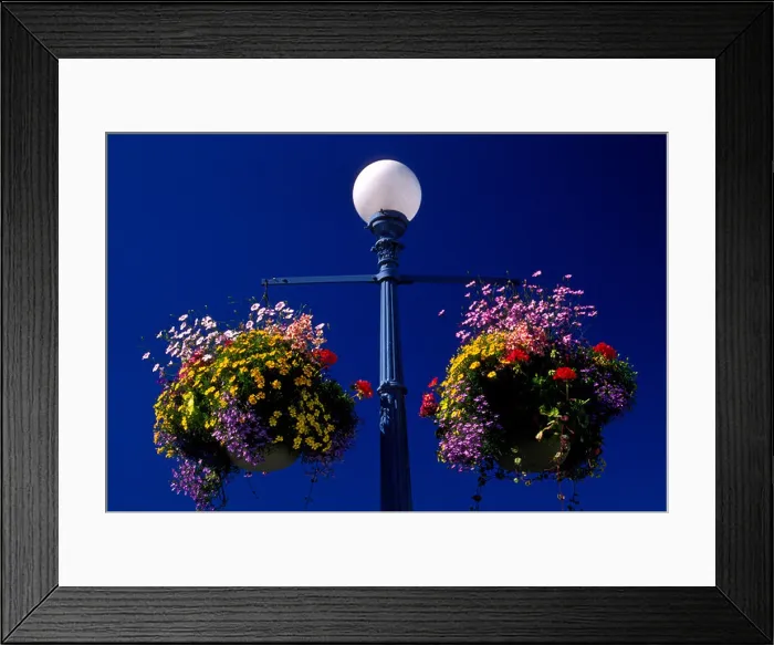 Framed Print : lamppost, baskets of flowers, city of Victoria, Vancouver, British Columbia, Canada Framed Print : lamppost, baskets of flowers, city of Victoria, Vancouver, British Columbia, Canada