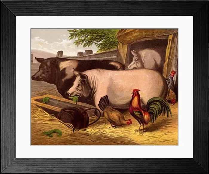 Framed Print : (Removed after reusableart request.). circa 1872 1196 Pigs in the Barnyard Framed Print : (Removed after reusableart request.). circa 1872 1196 Pigs in the Barnyard